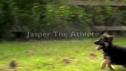 A short clip of Jasper bounding along on his first walk. (19/09/2009)